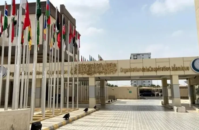 او آئی سی، 21 ممالک نے اسرائیل کی طرف سے صومالیہ لینڈ کو تسلیم کرنے کو مسترد کردیا