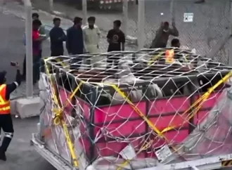 پاکستان اور برازیل کا لائیوسٹاک اور ڈیری شعبے میں شراکت داری بڑھانے پر اتفاق