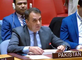 پاکستان کا کیمیائی ہتھیاروں کے استعمال کی سخت مخالفت کا اعادہ