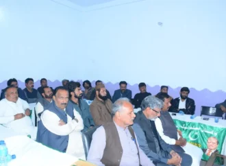 مسلم لیگ (ن) ضلع جھنگ کا تنظیمی اجلاس، بلدیاتی الیکشن گروپ کی صورت میں لڑنے کا اعلان