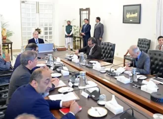 خسارے میں جانے والے سرکاری اداروں کی نجکاری حکومت کی اولین ترجیحات میں شامل ہے، وزیراعظم