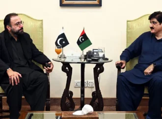 وفاقی وزیر چوہدری سالک حسین کی وزیرِ اعلیٰ سندھ سے ملاقات