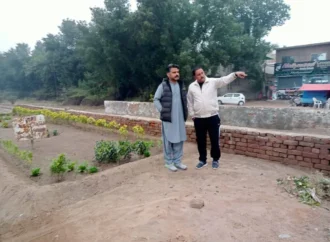 ایڈیشنل ڈپٹی کمشنر جنرل عامر محمود کا انڈر پاس اور ریلوے لائن کے اطراف جاری خوبصورتی کے اقدامات کا جائزہ