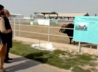 ایس آئی ایف سی کے لائیوسٹاک شعبہ کو جدید انداز پر استوار کرنے کیلئے اقدامات