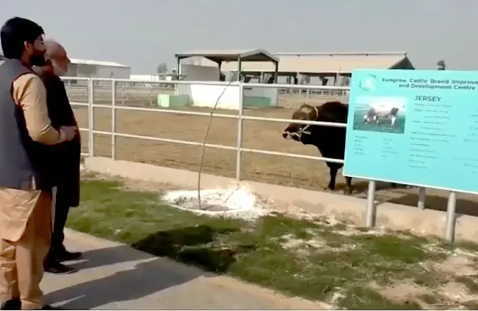 ایس آئی ایف سی کے لائیوسٹاک شعبہ کو جدید انداز پر استوار کرنے کیلئے اقدامات