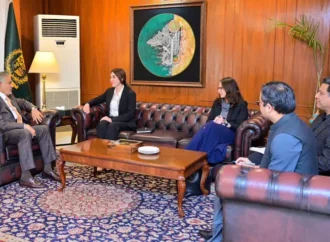 نائب وزیراعظم اور امریکی ناظم الامور کے درمیان دوطرفہ تعلقات پر تبادلہ خیال