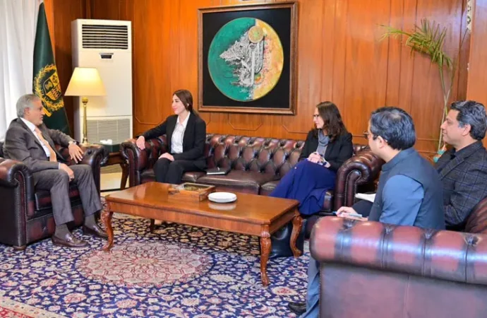 نائب وزیراعظم اور امریکی ناظم الامور کے درمیان دوطرفہ تعلقات پر تبادلہ خیال