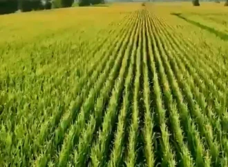 زرعی اور لائیو اسٹاک کا شعبہ جدید ٹیکنالوجی اور پائیدار خوشحالی کی جانب گامزن