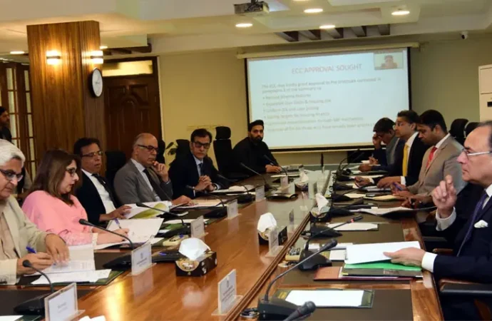 اقتصادی رابطہ کمیٹی نے کم لاگت ہاوسنگ سکیم کی منظوری دے دی