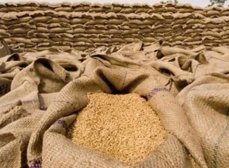 محکمہ فوڈ جھنگ میں 85 لاکھ روپے مالیت کی گندم میں مبینہ خرد برد، فوڈ افسران اور فلور مل مالک کے خلاف مقدمہ درج