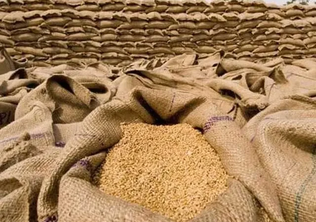 محکمہ فوڈ جھنگ میں 85 لاکھ روپے مالیت کی گندم میں مبینہ خرد برد، فوڈ افسران اور فلور مل مالک کے خلاف مقدمہ درج