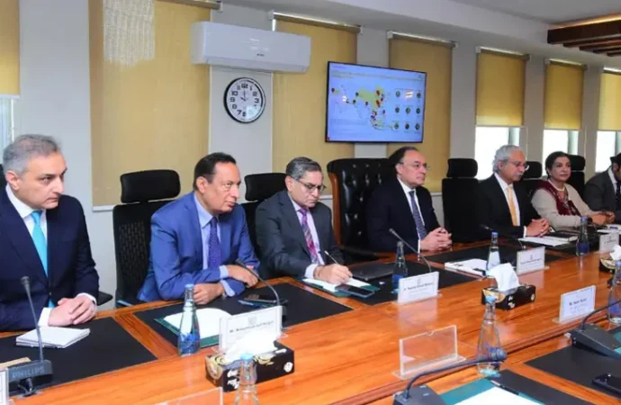 وزیر خزانہ کا معاشی استحکام اور سرمایہ کاری میں سہولت دینے کے حکومتی عزم کا اعادہ