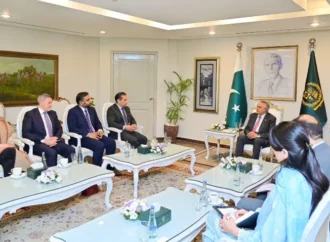 نجی شعبہ پاک امریکہ معاشی تعاون کے فروغ میں کلیدی کردار ادا کر رہا ہے، اسحاق ڈار