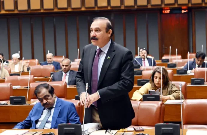 سینیٹ کو بتایا گیا کہ افغانستان حملوں میں ایک سو سے زائد خوارج مارے گئے