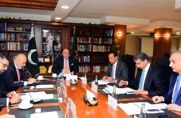 وزیر خزانہ اور سٹی بنک قریبی تعاون کی راہیں تلاش کرنے پر متفق