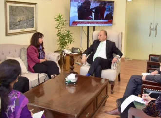 مصدق ملک کا گلیشیئرز کے پگھلاؤ سے متاثرہ ملکوں کے درمیان تعاون کے فروغ پر زور