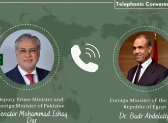 پاکستان ، مصر کا امن و استحکام کیلئے اجتماعی کوششوں پر زور