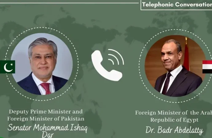 پاکستان ، مصر کا امن و استحکام کیلئے اجتماعی کوششوں پر زور