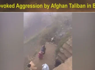 افغان طالبان کا باجوڑ میں شہریوں پر حملہ، 4 بھائی شہید