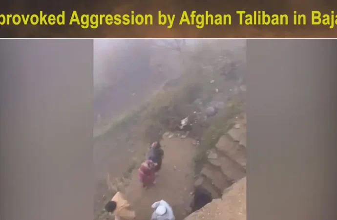 افغان طالبان کا باجوڑ میں شہریوں پر حملہ، 4 بھائی شہید