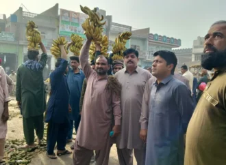 اسسٹنٹ کمشنر جھنگ اور دیگر متعلقہ افسران نے سبزی و فروٹ منڈی کا دورہ کیا