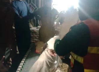 ملتان روڈ، ڈولی شہید ماجھی سلطان روڈ پر تیز رفتار رکشہ بے قابو ہو کر بیل گاڑی سے ٹکرا گیا، تین افراد زخمی،ریسکیو