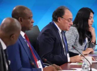 وزیر خزانہ محمد اورنگزیب کا عالمی معاشی چیلنجز سے نمٹنے کے لیے مشترکہ اقدامات پر زور