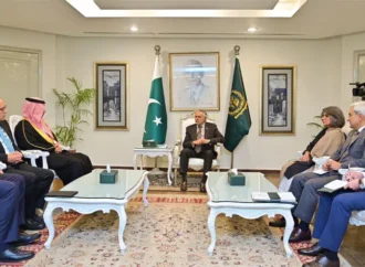 نائب وزیراعظم کا پاکستان، سعودی عرب، ترکیہ اور مصر کے درمیان تعاون بڑھانے پر زور