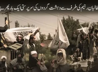 افغانستان میں طالبان رجیم کی دہشتگردوں کی حمایت خطے بھر کیلئے سنگین سکیورٹی چیلنج