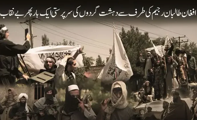 افغانستان میں طالبان رجیم کی دہشتگردوں کی حمایت خطے بھر کیلئے سنگین سکیورٹی چیلنج