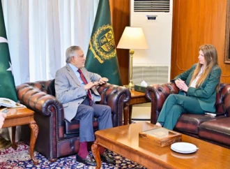 نائب وزیراعظم ،برطانوی ہائی کمشنر کا خطے کی بدلتی ہوئی صورتحال پرتبادلہ خیال