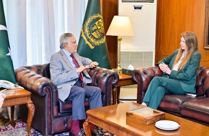 نائب وزیراعظم ،برطانوی ہائی کمشنر کا خطے کی بدلتی ہوئی صورتحال پرتبادلہ خیال