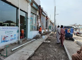 ڈپٹی کمشنر کی ہدایات پر اٹھارہ ہزاری میں بیوٹیفکیشن اسکیم کا جائزہ، کام تیز کرنے کی ہدایت