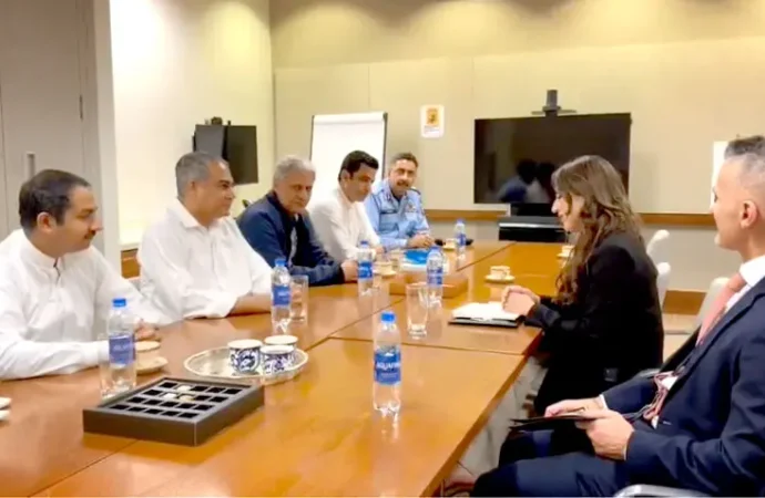 محسن نقوی ،امریکی ناظم الامور کا پاکستان،امریکہ تعلقات پر تبادلہ خیال