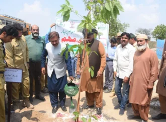 ضلعی انتظامیہ اور محکمہ جنگلات نے مشترکہ طور پر اہم شاہراہ ٹوبہ روڈ پر شجرکاری مہم کا انعقاد کیا، چار ہزار سے زائد پودے لگائے گئے۔