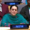 سلامتی کونسل اجلاس، پاکستان کا تنازعات کے دوران طبی سہولیات کے تحفظ پر زور