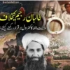 طالبان رجیم کیخلاف بغاوت،ملا ہیبت اللہ کا کنٹرول برقرار رکھنے کیلئے نیا حکم جاری
