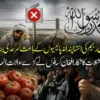 پاکستان کے ساتھ تجارتی راستوں کی بندش سے افغان کسانوں کو مالی بحران کا سامنا