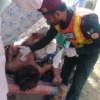 جھنگ میں دو مختلف واقعات، کرنٹ لگنے سے نوجوان سمیت جھگڑے میں دو افراد زخمی، تینوں کو ڈی ایچ کیو ہسپتال منتقل کر دیا گیا