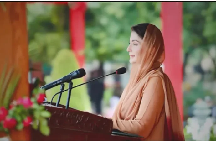 پنجاب انتظامی امور، ٹیکنالوجی اور ترقی میں ملک کی قیادت کر رہا ہے: مریم نواز
