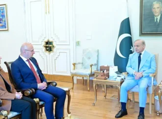 وزیراعظم کا کروشیا کے ساتھ دوطرفہ تعاون کومزید فروغ دینے کی خواہش کا اظہار