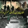 افغانستان میں طالبان رجیم کے خلاف مسلح مزاحمت میں شدت آگئی