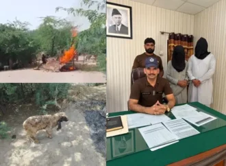 کوٹ شاکر: مزدور پر تشدد، جھونپڑی کو آگ لگانے سے بھیڑیں جھلس گئیں؛ دو مرکزی ملزمان گرفتار