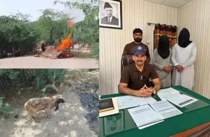 کوٹ شاکر: مزدور پر تشدد، جھونپڑی کو آگ لگانے سے بھیڑیں جھلس گئیں؛ دو مرکزی ملزمان گرفتار