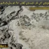 سیکیورٹی فورسز کی آپریشن رد الفتنہ3 کے تحت بلوچستان میں کارروائیاں جاری