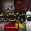 طالبان رجیم نے افغانستان کو عالمی دہشتگرد نیٹ ورکس کا گڑھ بنا دیا