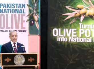 وزیراعظم شہباز شریف نے پاکستان نیشنل اولیو ویلیو چین پالیسی کا اجرا کر دیا، خوردنی تیل میں خودکفالت کا عزم