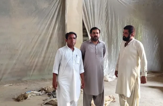 گندم کی مبینہ ذخیرہ اندوزی کے خلاف کارروائی، 5200 تھیلے برآمد، گودام سیل