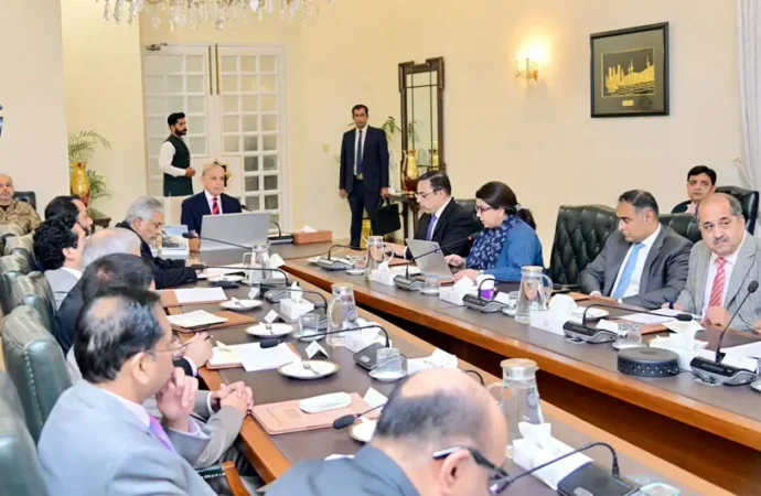وزیراعظم کی فیول سبسڈی کے آسان حصول کیلئے سہولت ڈیسک قائم کرنے کی ہدایت