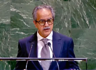 اقوام متحدہ جنرل اسمبلی نے معاون ٹیکنالوجی تک رسائی بارے پاکستان کی قرارداد منظور کر لی